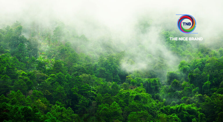 มูลนิธิแม่ฟ้าหลวง เล็งปั้น Pilot Project พื้นที่ราบ สร้างคาร์บอนเครดิตคุณภาพ